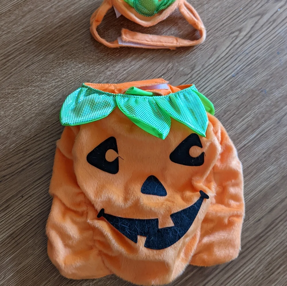 Cat or small dog Halloween costumes